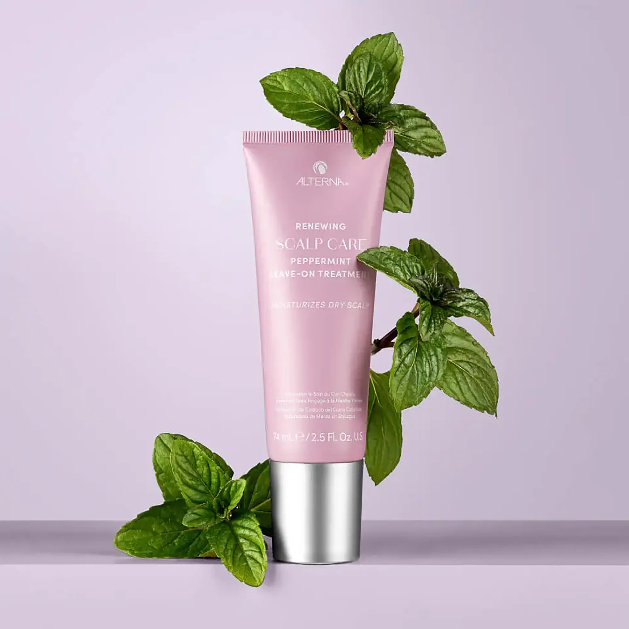 Alterna Scalp Care Peppermint Leave on Treatment