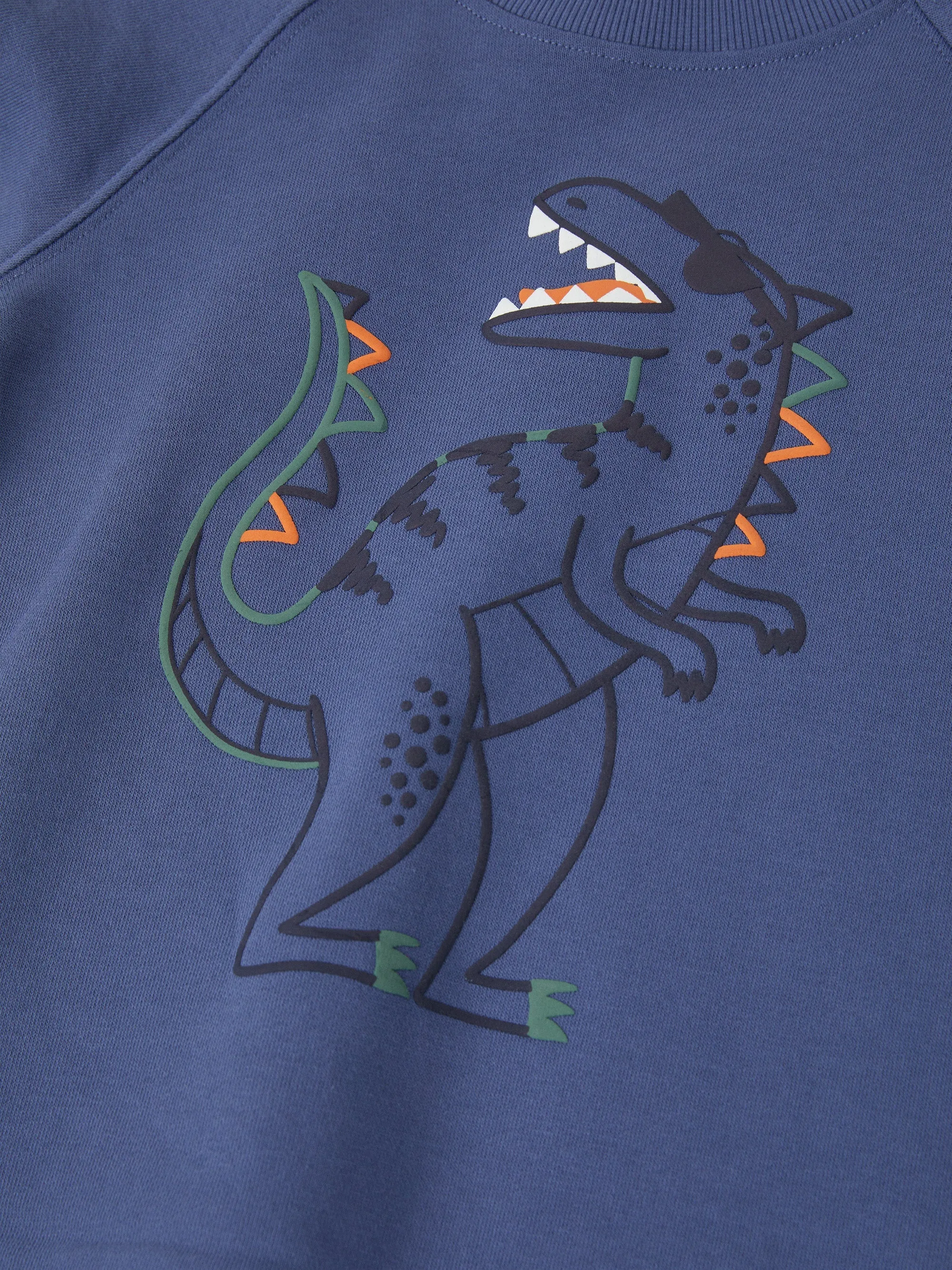 Dinosaur Print Kids Sweatshirt