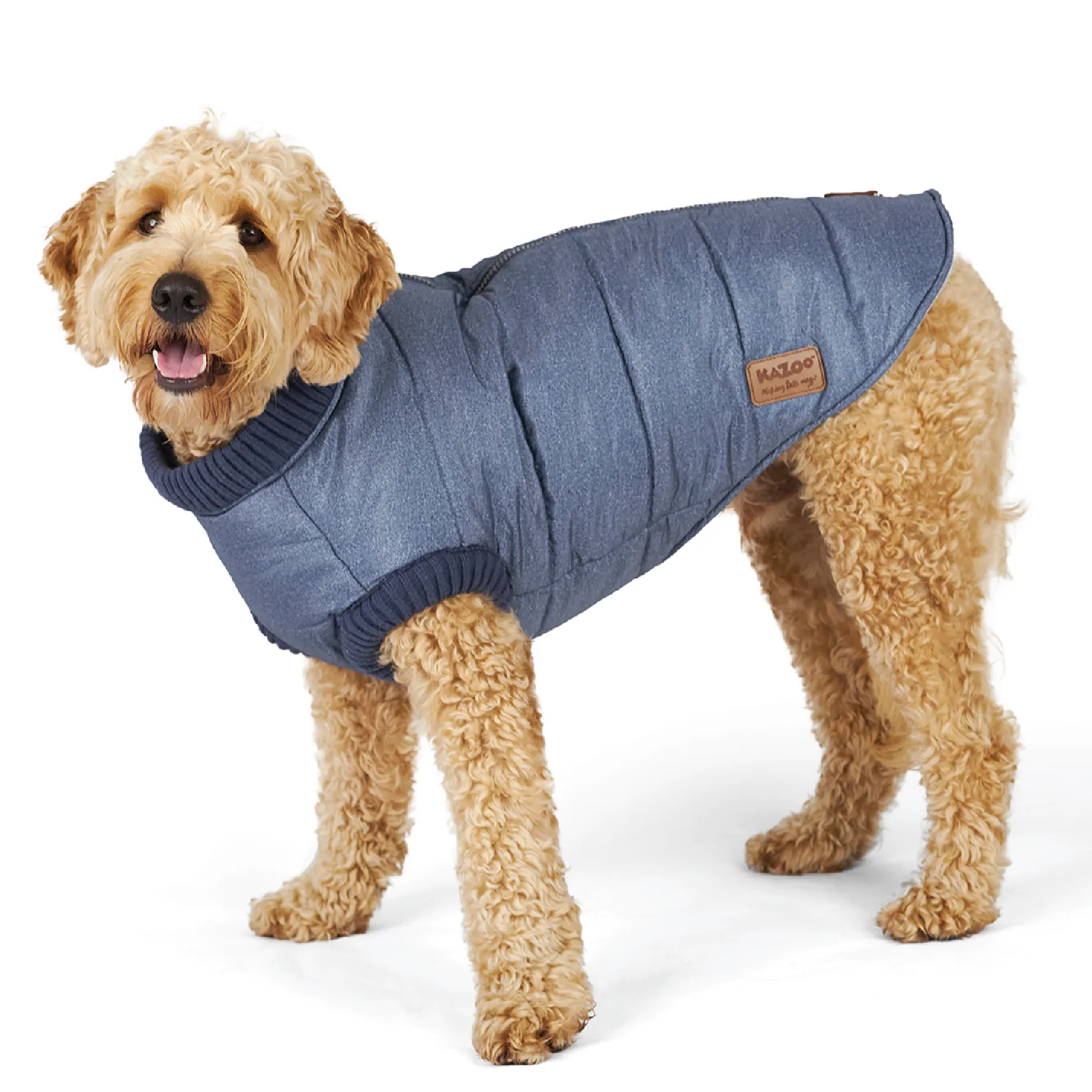 Dog Bomber Jacket