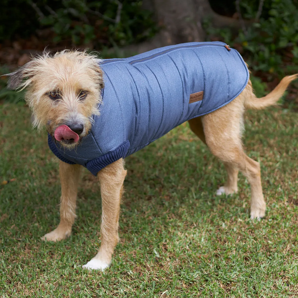 Dog Bomber Jacket