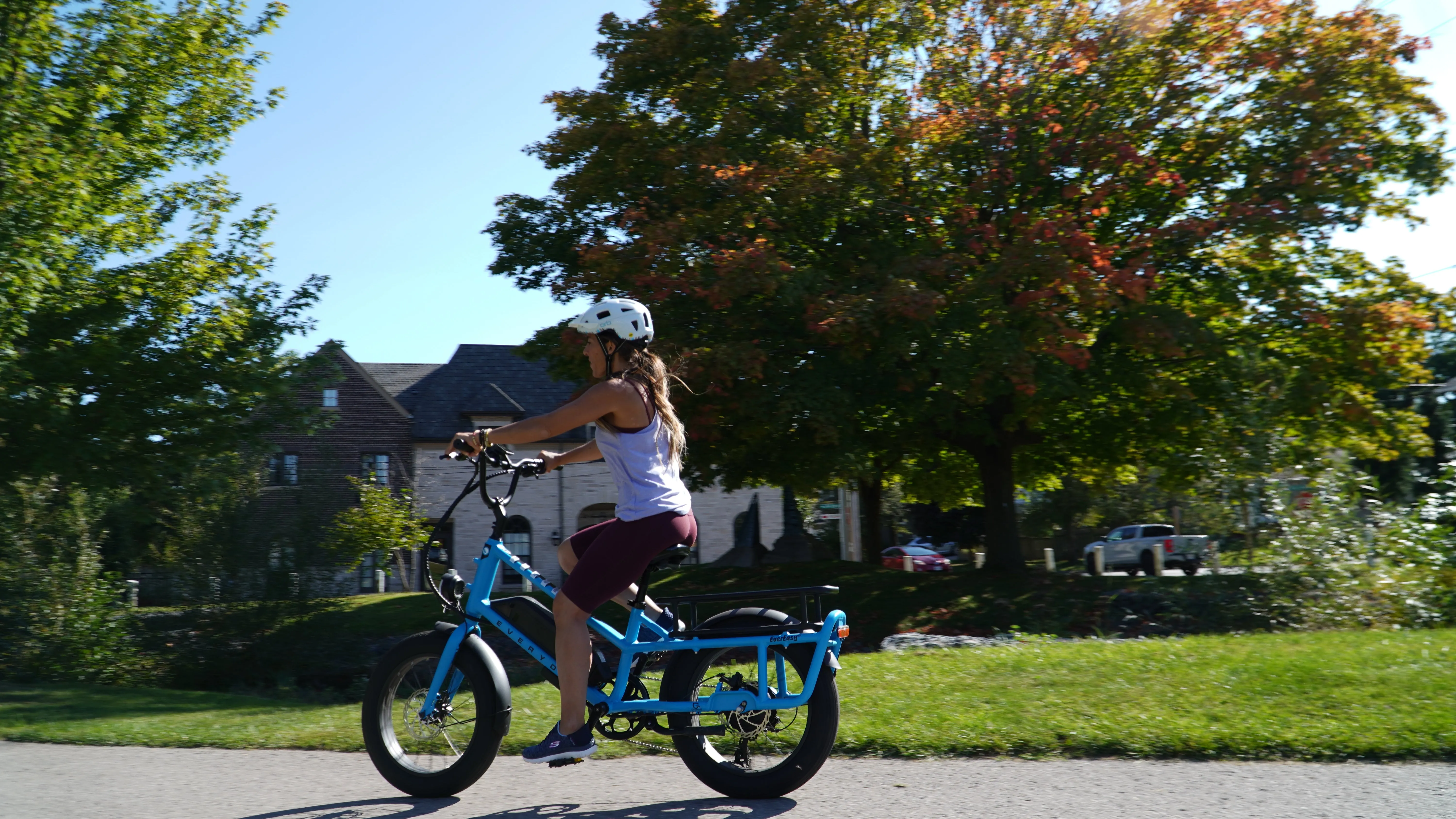 EverEasy Electric Cargo Bike (OPEN BOX)