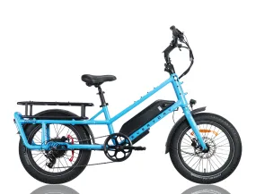 EverEasy Electric Cargo Bike (OPEN BOX)