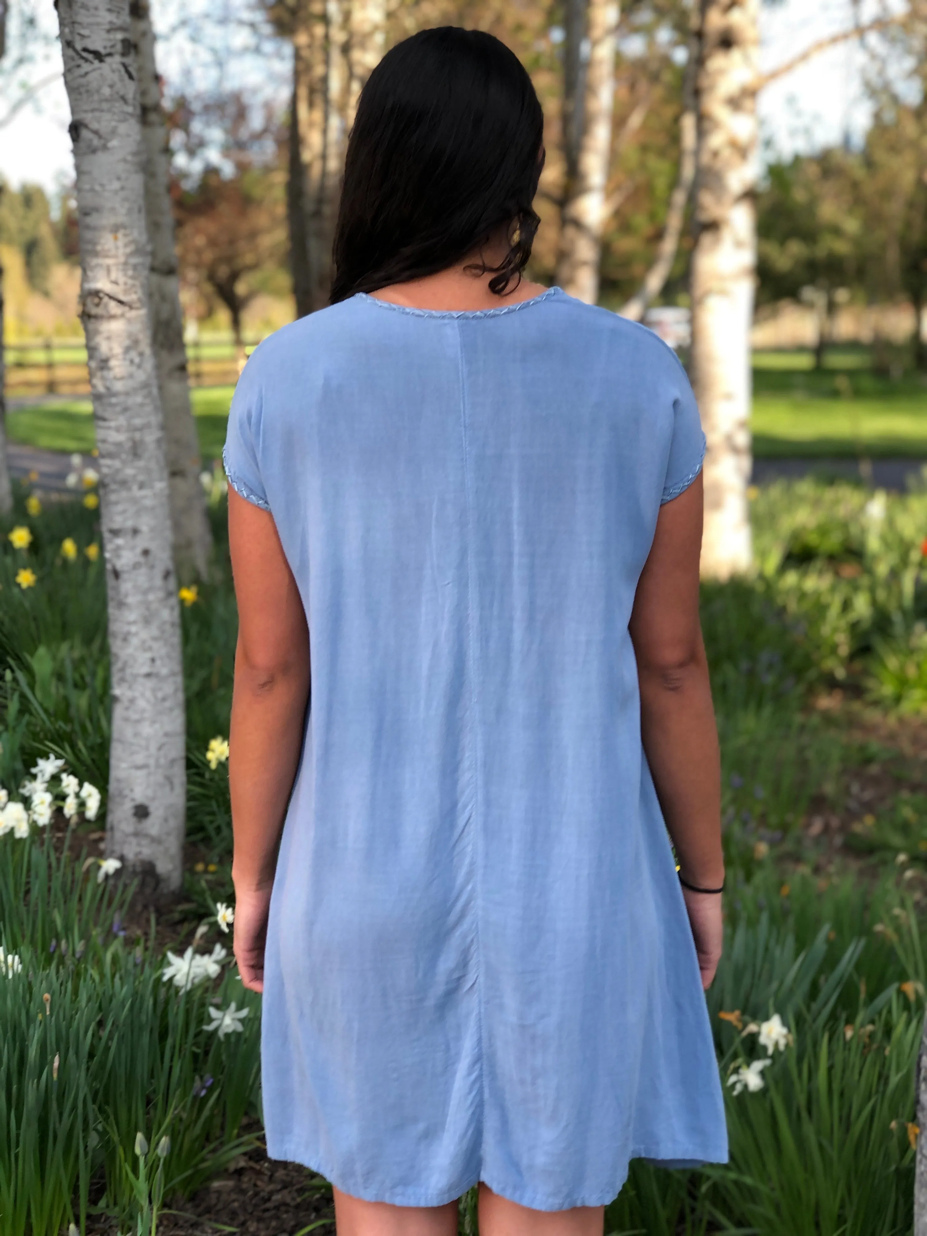 Felisa Sky Blue Garden Dress