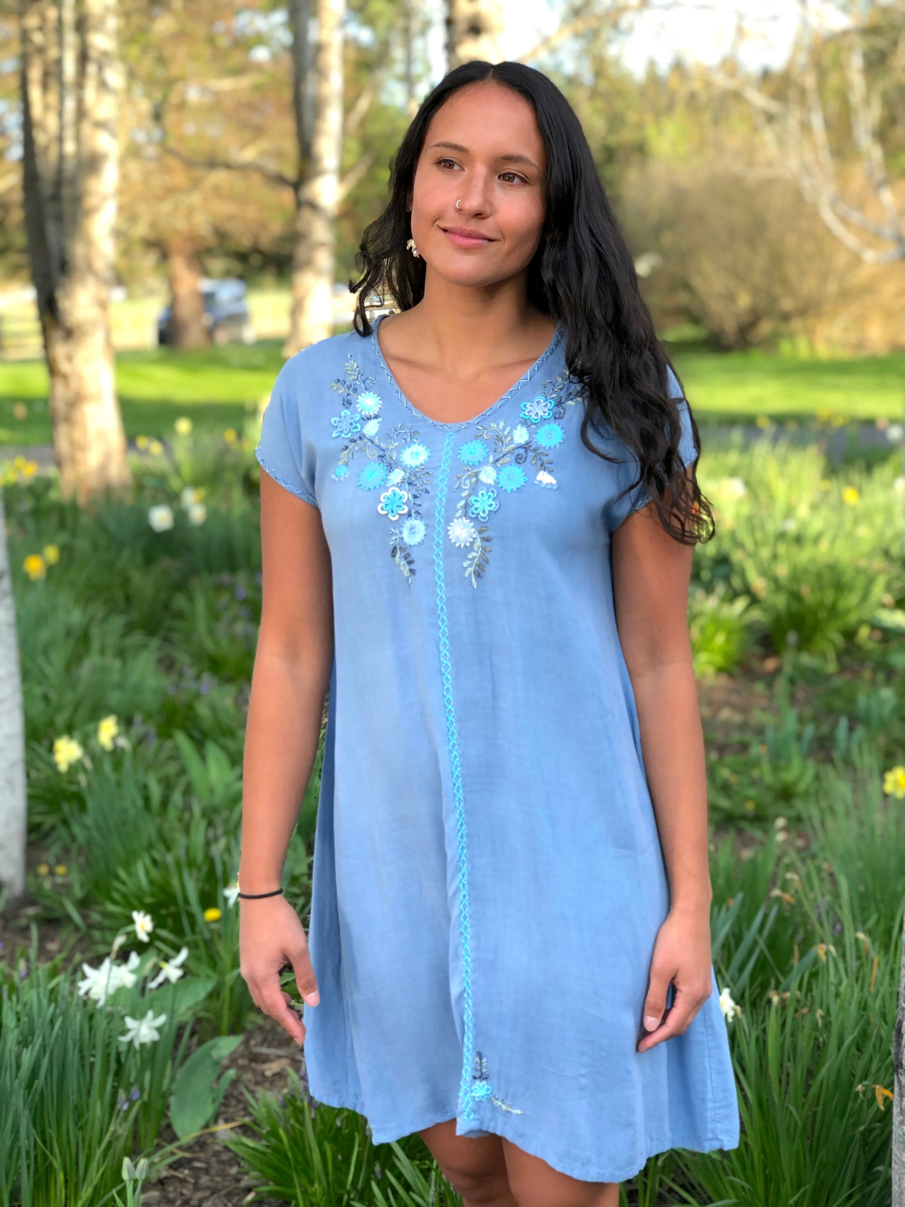 Felisa Sky Blue Garden Dress