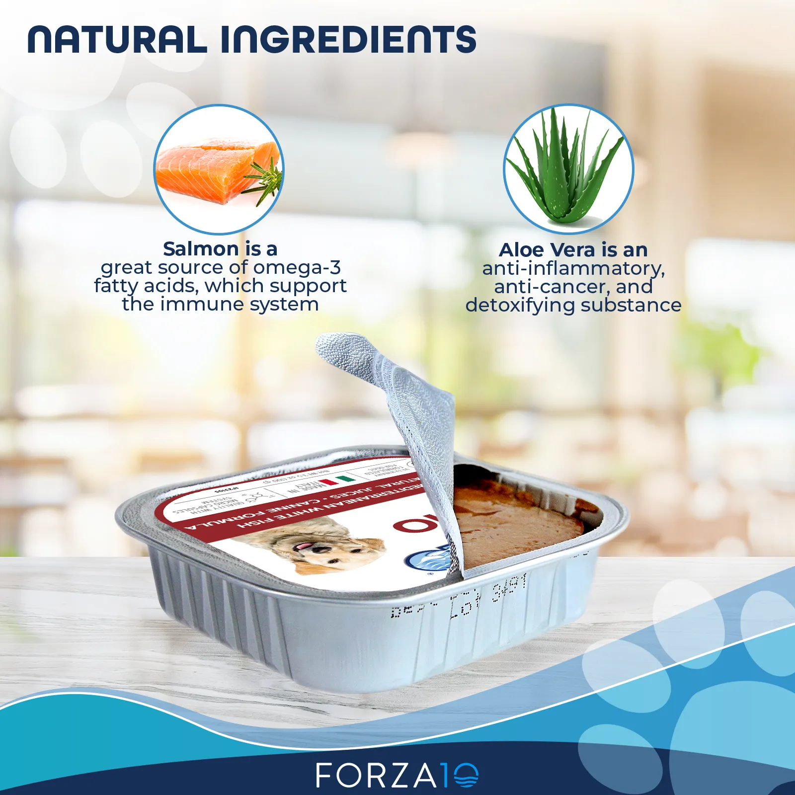 Forza10 Nutraceutic ActiWet Dermo Icelandic Fish Recipe Wet Dog Food