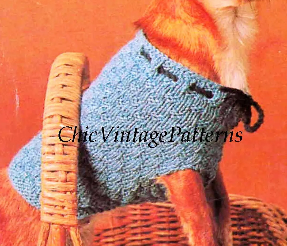 Knitted Dog Coat, Chihuahua Dog Pattern, PDF Knitting Pattern