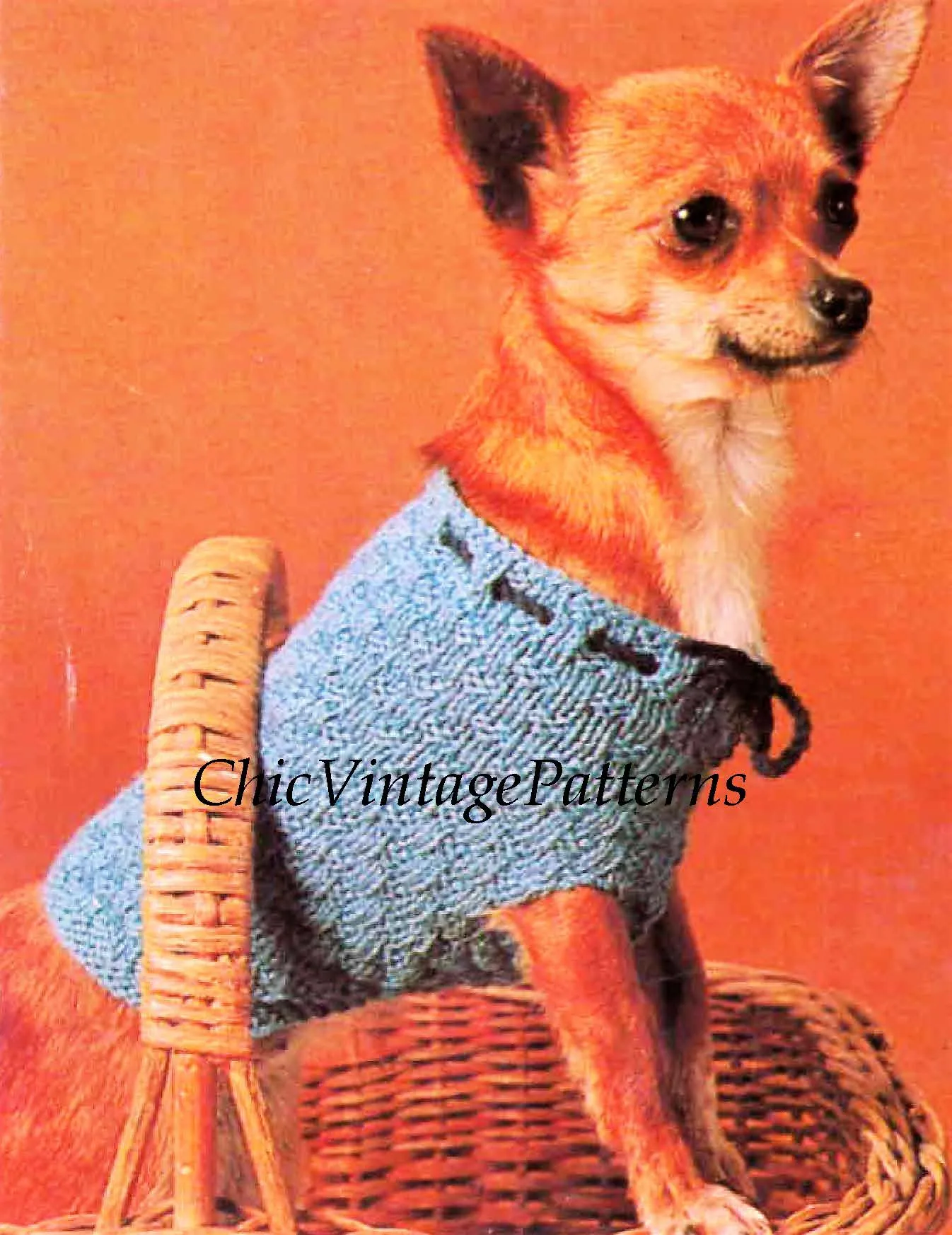 Knitted Dog Coat, Chihuahua Dog Pattern, PDF Knitting Pattern